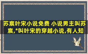 苏宸叶宋小说免费 小说男主叫苏宸,女主叫叶宋的穿越小说,有人知道没么